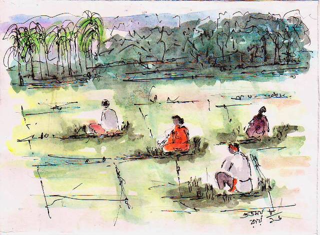 Paddy Field Drawing Agriculture, others, angle, white, mammal png | PNGWing